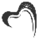 Keystone Dental Partners logo