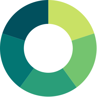Advanced Production logo