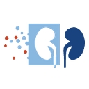 Kidney Associates logo