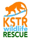 Kids Saving The Rainforest logo