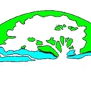 Kiefer Landscaping logo