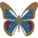 Kimiya logo