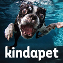 kindapet.com logo