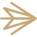 Kinesis logo