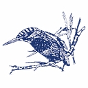Kingfisher Developments (Wales) Limited logo