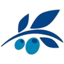 King Gyros Restaurant logo