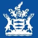 Kingston Royal Borough Council logo