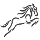 China Kingstone Mining Holdings Limited logo