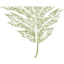 King's Tree Service Inc. logo