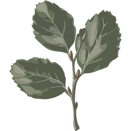 Kinloch Lodge Ltd logo