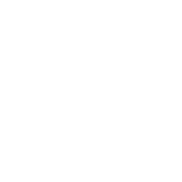 Southwest Critical Materials LLC logo