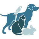 kirkmanroadveterinaryclinic.com icon