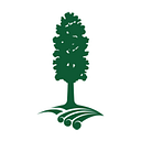 Kahikatea Kirkwood Intermediate logo