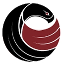 Kisik Aerial Survey logo