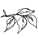 Kitchen Garden Foods Ltd logo