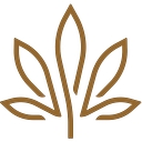 Kiva Brands, Inc. logo
