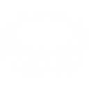 Kleverness logo