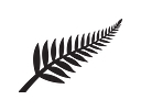 Kiwi Maintenance Group Ltd logo