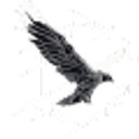 Logo de KMJ Ciberseguridad, Ciberseguridad