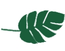 Km Pediatric Therapy, Inc. logo
