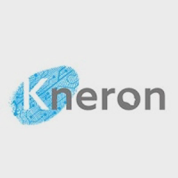 Kneron logo