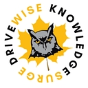 Knowledgesurge Institute logo