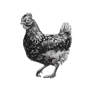 Knowl End Farm logo