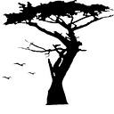 Favicon of Kokomo Winery
