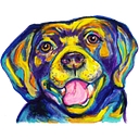 kolchakpuggle.com icon