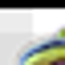 dssim logo