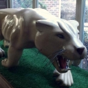 Kittatinny Regional High School logo