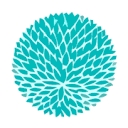 Ktcollection logo