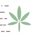 Kushfly logo