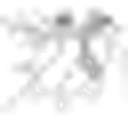 carla logo