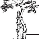 Ortho Kentucky Dba Kentucky Bone & Joint Surgeons logo