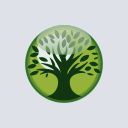 Kyushu Financial logo