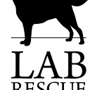 Favicon of Lab Rescue LRCP