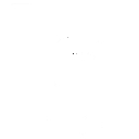 Laceco logo