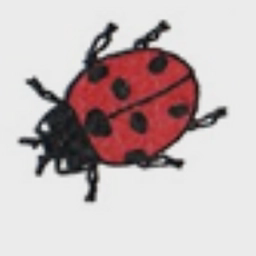 Ladybird Nurseries Ltd logo