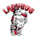 Ladybug Concrete Specialties logo