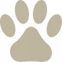 Ladyhaye International Pet Travel Ltd logo