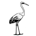 lagunacreekapts.com icon