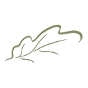 Village Management Services Inc