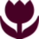 laiki.lv logo