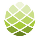 Laingholm Baptist Church logo