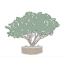 Jackson logo