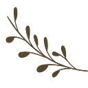 Lake Oak Meadows logo