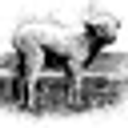Lamb Company, Inc. logo