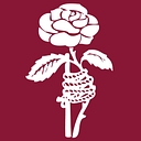 Lancaster Orthopedic Group logo