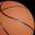 landofbasketball.com logo